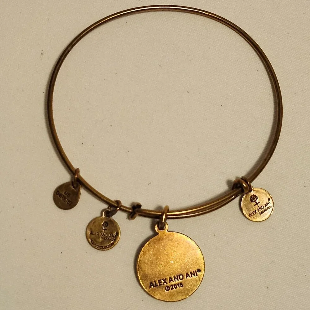 Alex and Ani Las Vegas Poker Chip Charm Gold Tone Energy Bangle Rafaelian Gold - Picture 5 of 8